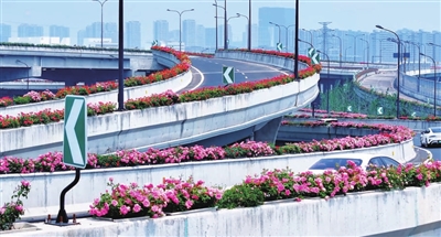 “花樣”余杭何以動(dòng)人心？